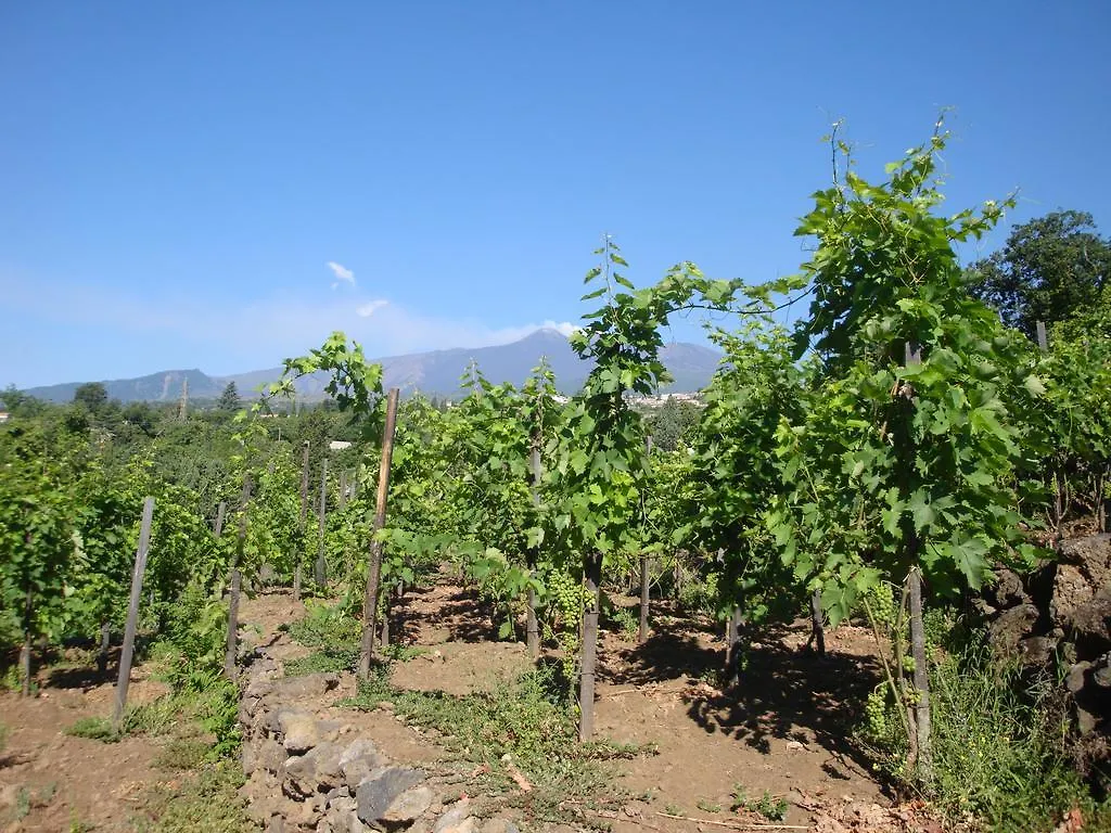 Villa Iolanda-Sive Natura Wine&House Giarre 0*,