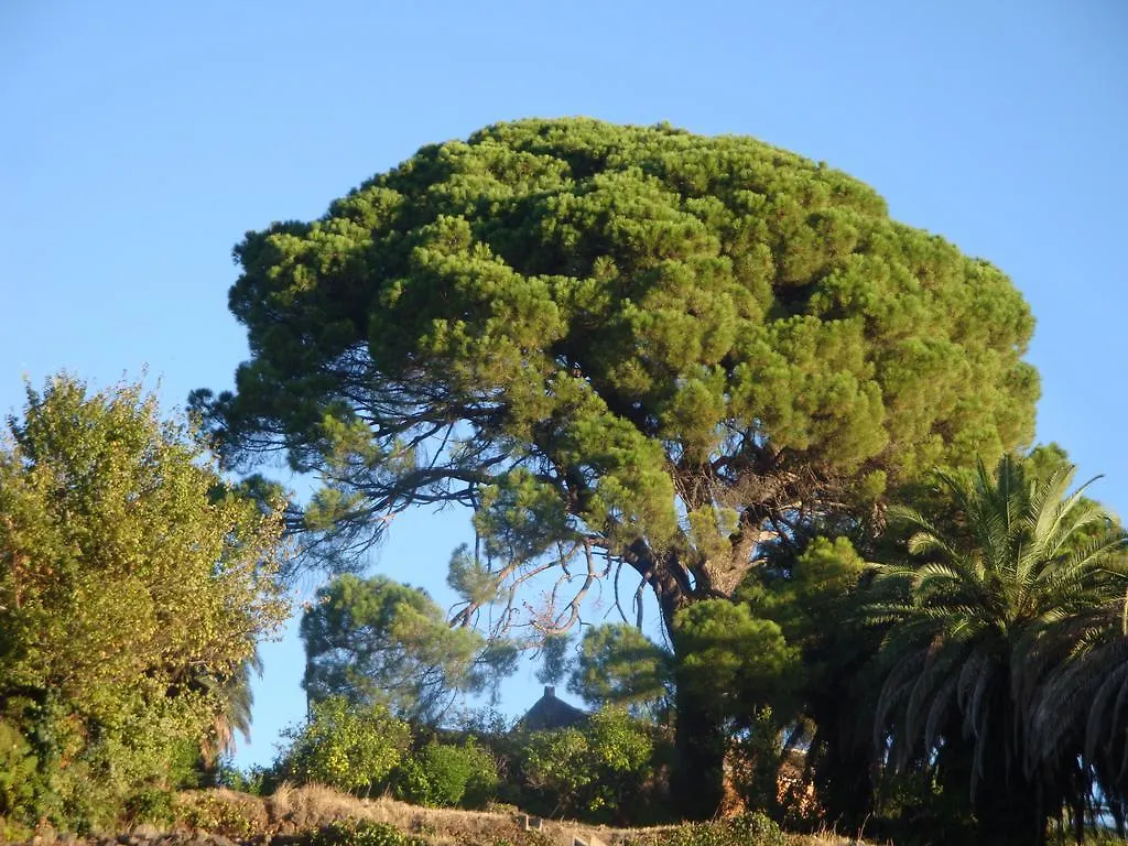 Villa Iolanda-Sive Natura Wine&House Giarre 0*,